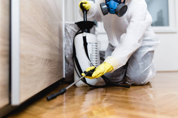 Best Emergency Pest Control  in La Grulla, TX