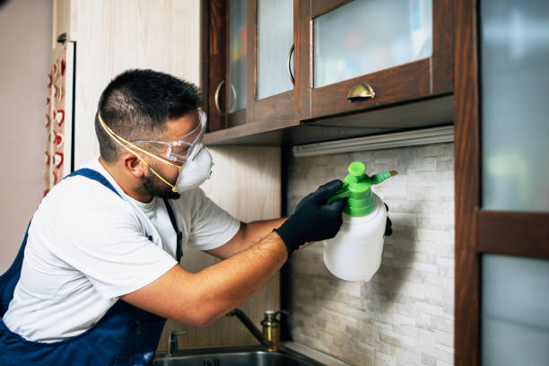 Best Residential Pest Control  in La Grulla, TX