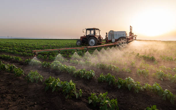 Best Pest Prevention Services  in La Grulla, TX