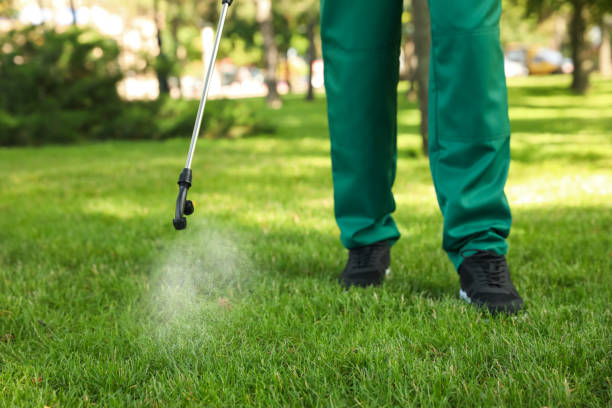 Best Best Pest Control Companies  in La Grulla, TX