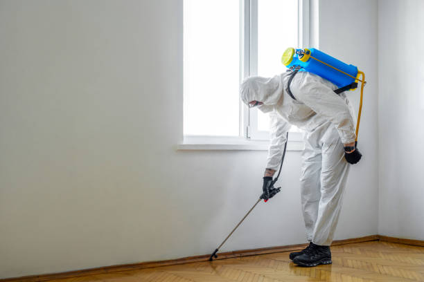 Best Exterminator Services  in La Grulla, TX