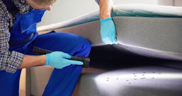 Best Affordable Pest Control Services  in La Grulla, TX