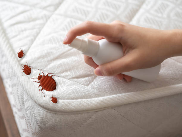 Best Pest Inspection Near Me  in La Grulla, TX