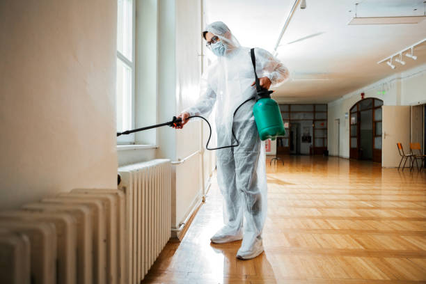 Best Termite Control Services  in La Grulla, TX