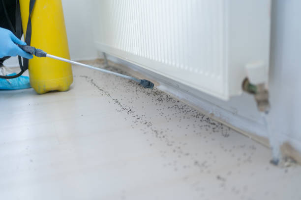Best Pest Removal Services  in La Grulla, TX