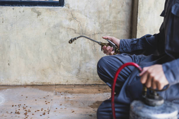 Best Rat Extermination Near Me  in La Grulla, TX
